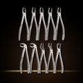 stainless steel extraction forceps set 10 assorted jaw profiles for precision wo — Dental Bench