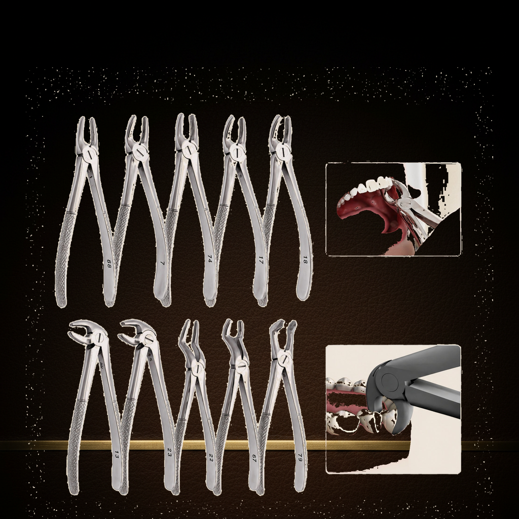 stainless steel extraction forceps set 10 assorted jaw profiles for precision wo — Dental Bench