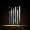 6 piece stainless steel precision probe and scraper set in storage pouch — Dental Bench