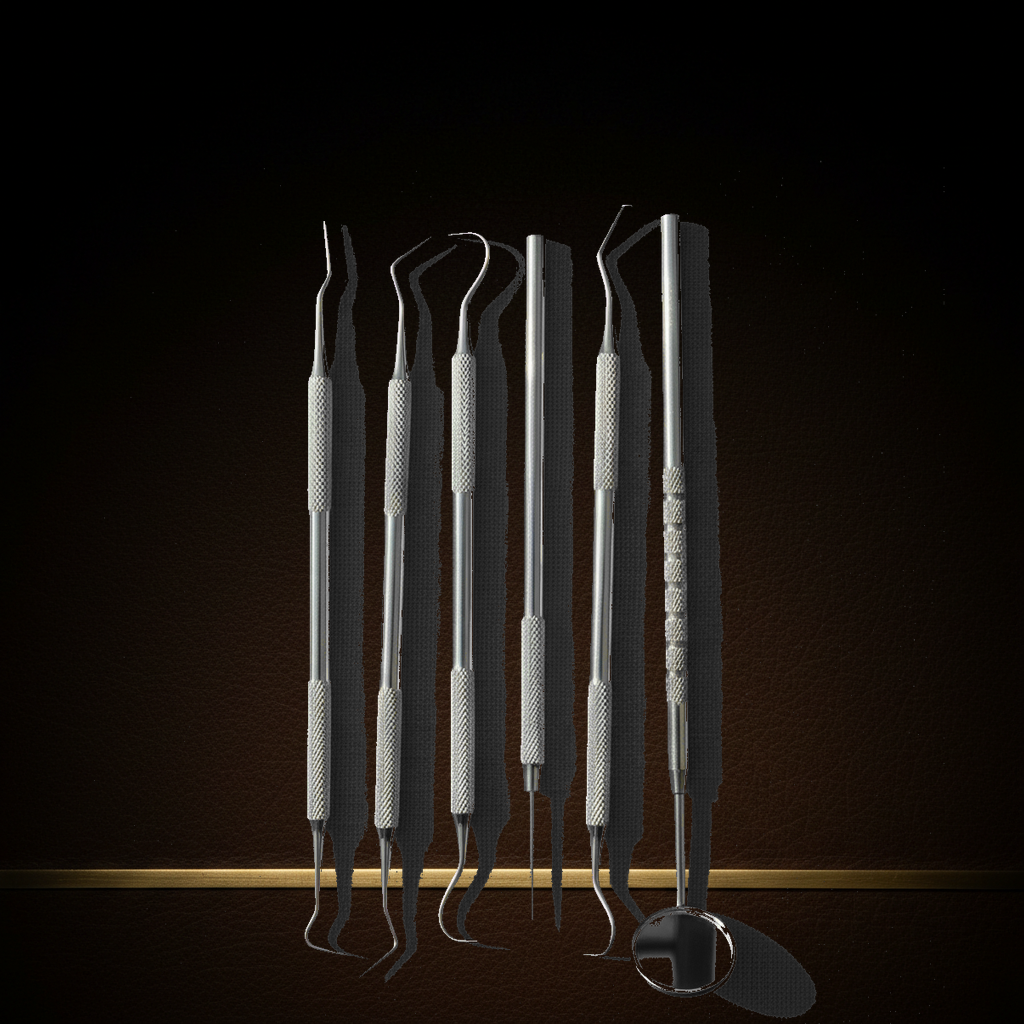 6 piece stainless steel precision probe and scraper set in storage pouch — Dental Bench