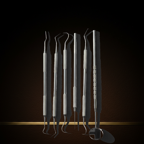 6 piece stainless steel precision probe and scraper set in storage pouch — Dental Bench